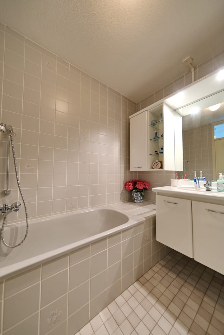 Foto 13 van Prof. Schermerhornpark 36