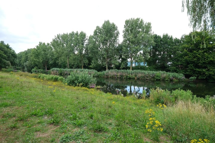 Foto 25 van Prof. Schermerhornpark 36