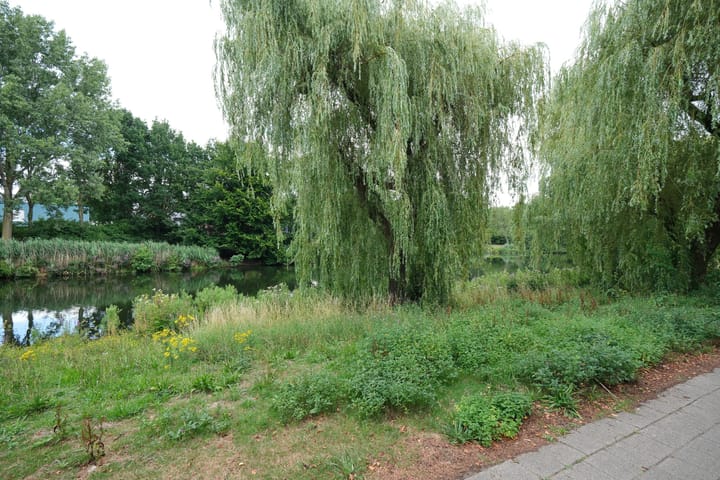 Foto 26 van Prof. Schermerhornpark 36