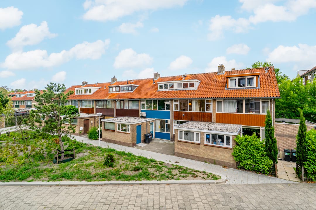 Foto 1 van Oranjeplantsoen 50