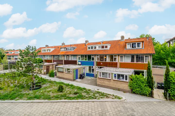 Foto 1 van Oranjeplantsoen 50