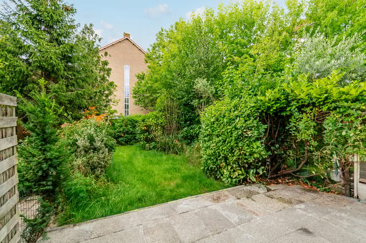 Foto 4 van Oranjeplantsoen 50