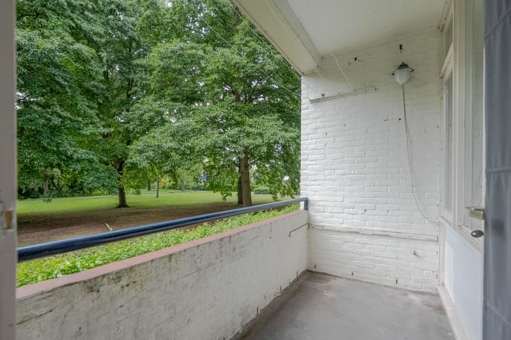 Photo 13 of Ruigoord 214