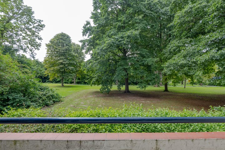 Photo 14 of Ruigoord 214