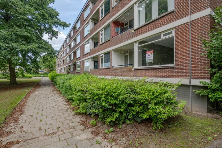 Photo 23 of Ruigoord 214