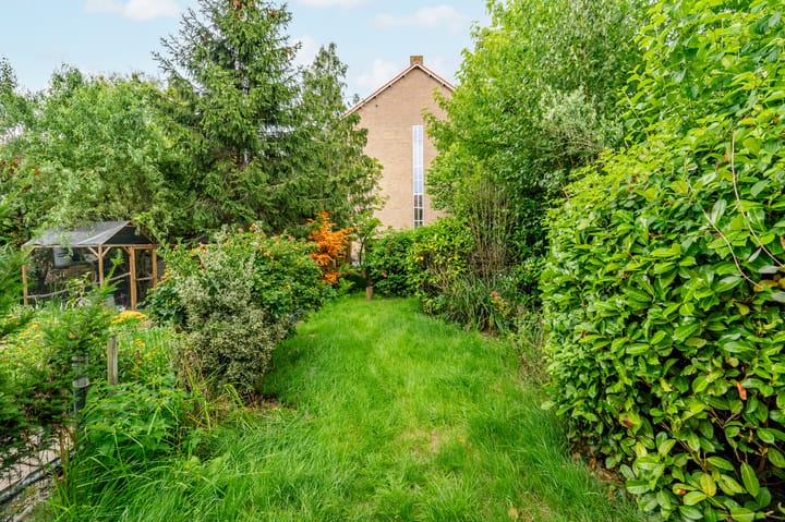 Foto 37 van Oranjeplantsoen 50