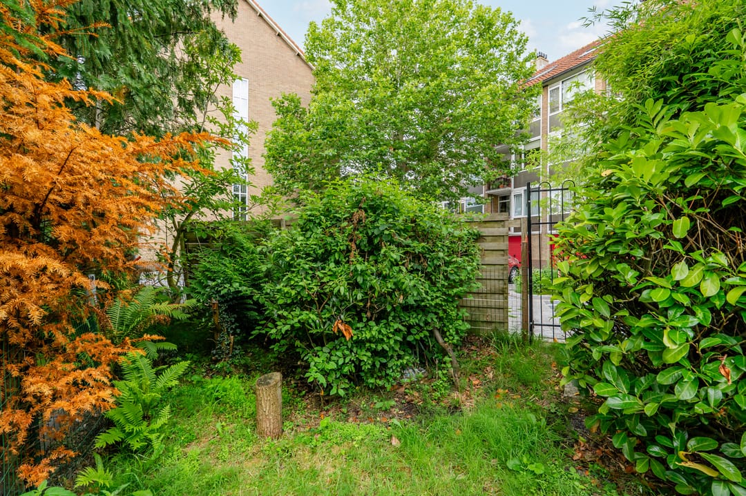 Foto 38 van Oranjeplantsoen 50