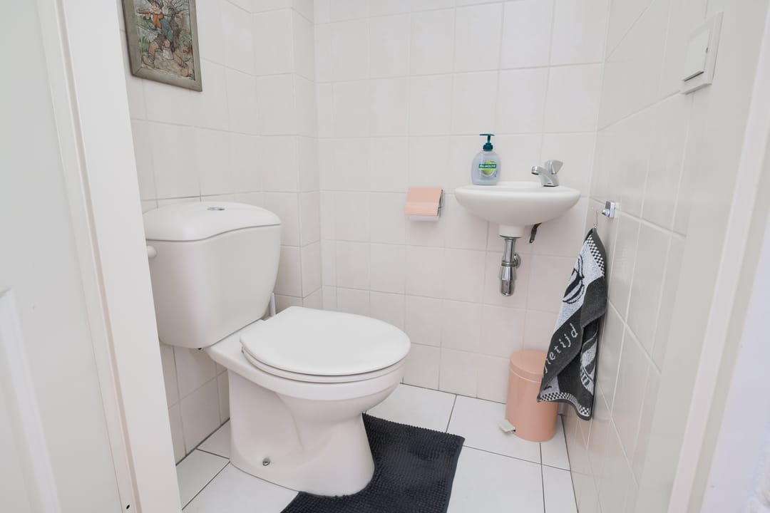 Foto 7 van Borgsche Rieten 69