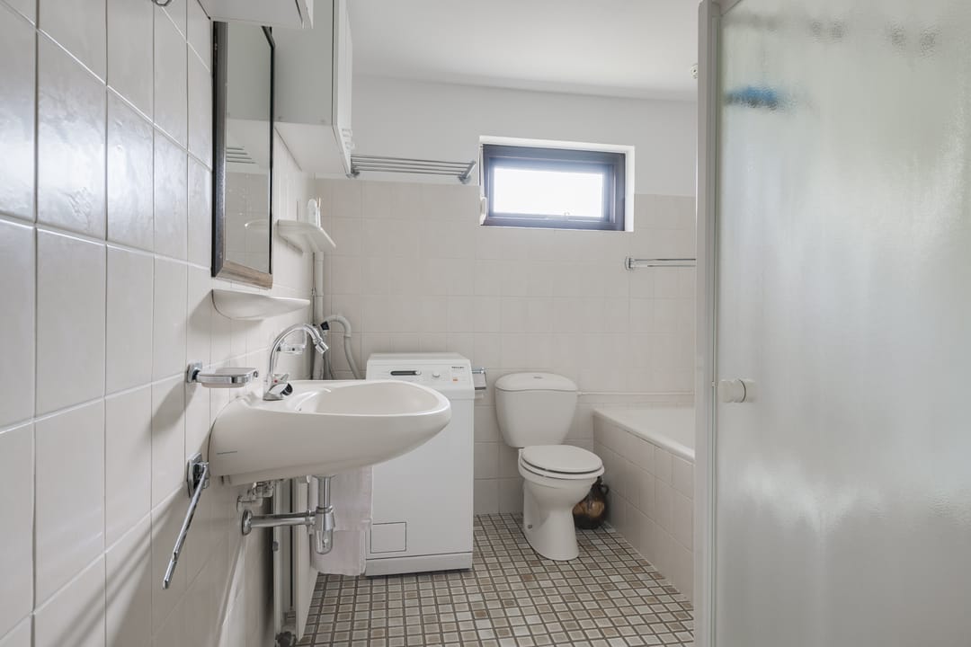 Foto 28 van Borgsche Rieten 69