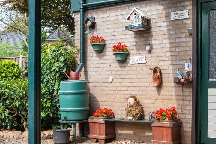 Foto 41 van Borgsche Rieten 69