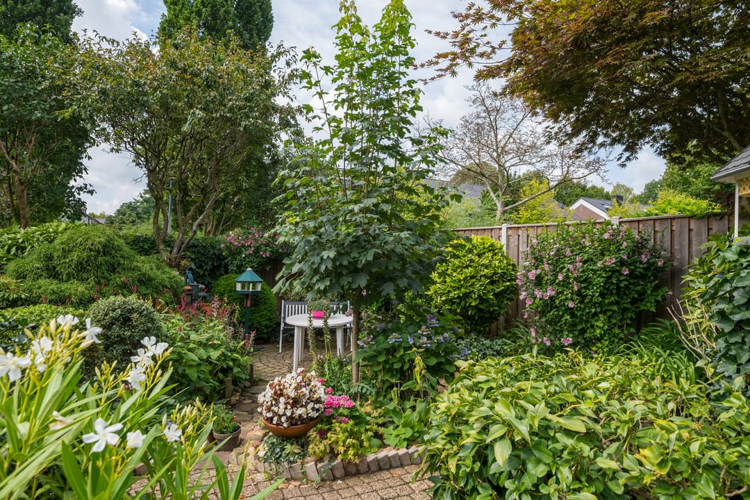 Foto 43 van Borgsche Rieten 69