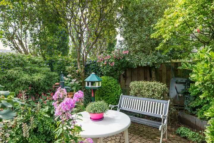 Foto 46 van Borgsche Rieten 69