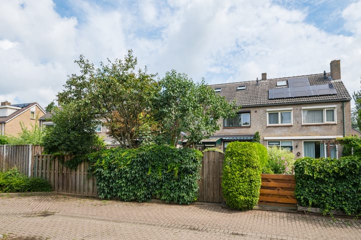 Foto 54 van Borgsche Rieten 69