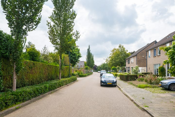 Foto 63 van Borgsche Rieten 69