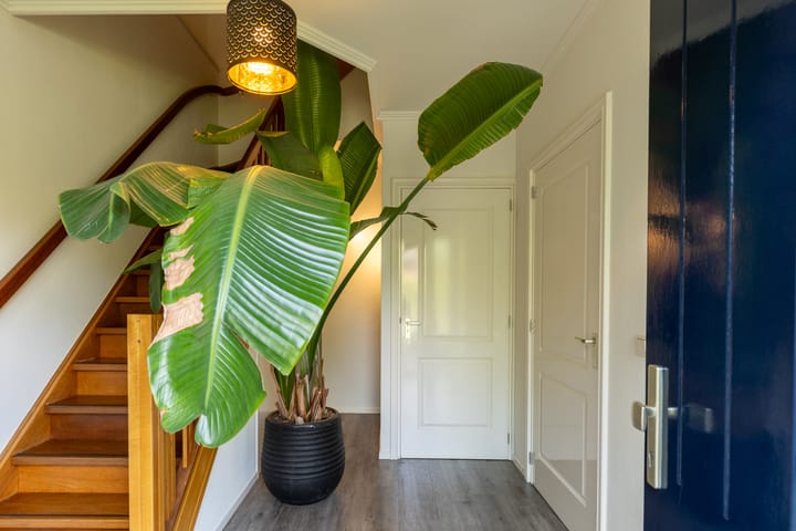 Photo 10 of Prins Bernhardstraat 40