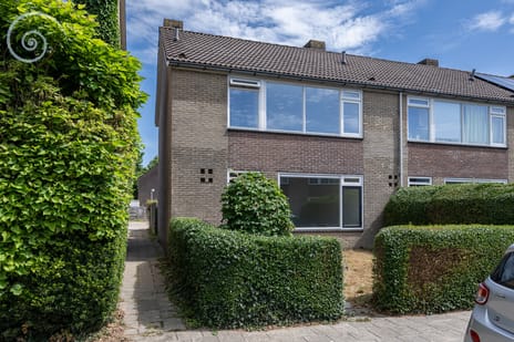 undefined main image