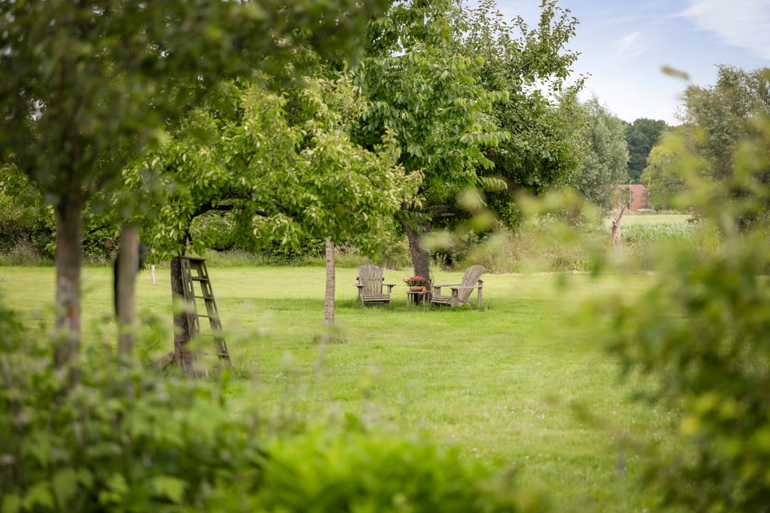 Foto 61 van Burgemeester van der Feltzweg 98