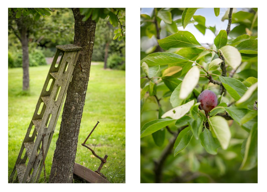 Foto 62 van Burgemeester van der Feltzweg 98