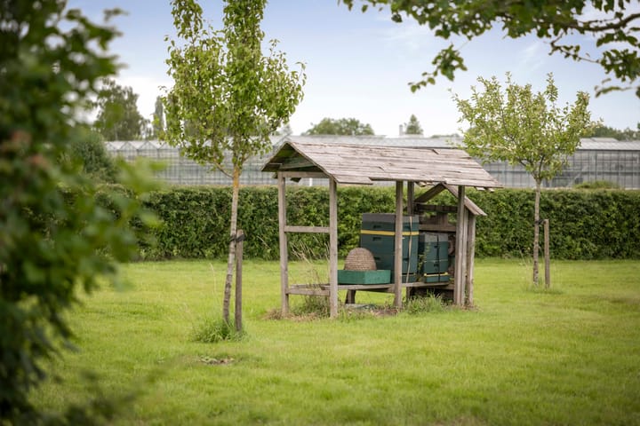 Foto 64 van Burgemeester van der Feltzweg 98