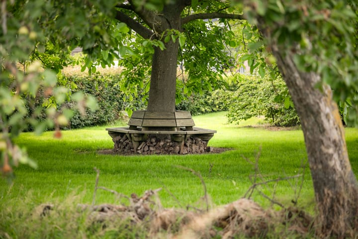 Foto 67 van Burgemeester van der Feltzweg 98