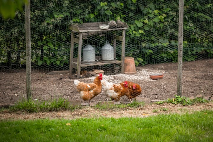 Foto 68 van Burgemeester van der Feltzweg 98