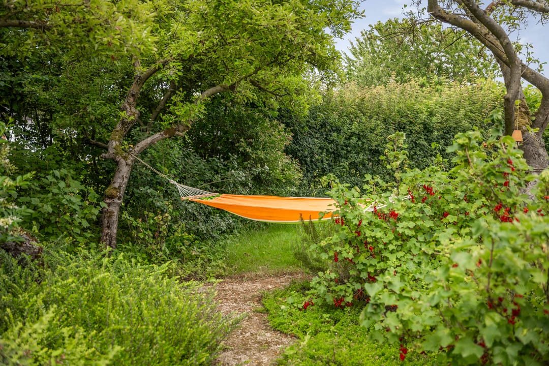 Foto 76 van Burgemeester van der Feltzweg 98