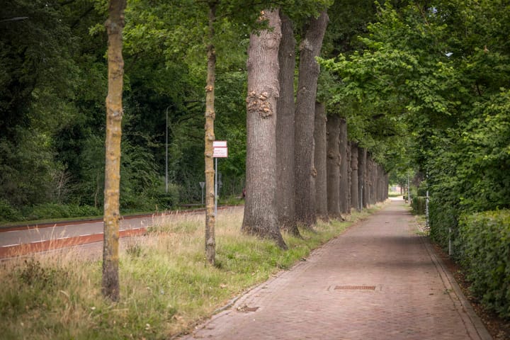 Foto 81 van Burgemeester van der Feltzweg 98