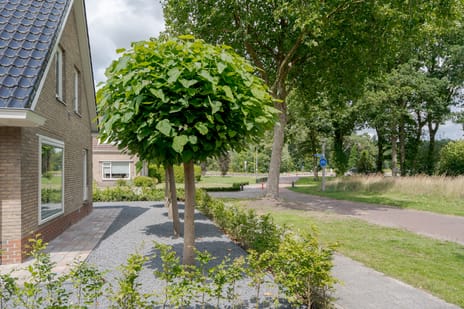 Roessinghkamplaan 16 tertiary image