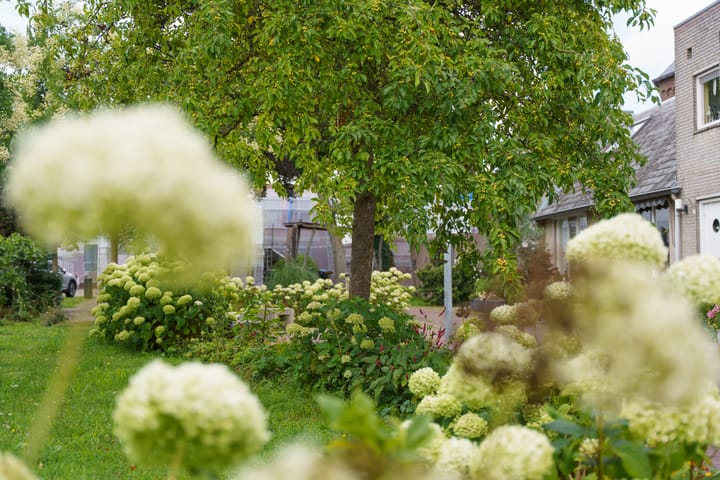 Foto 58 van de Laeck 16-C