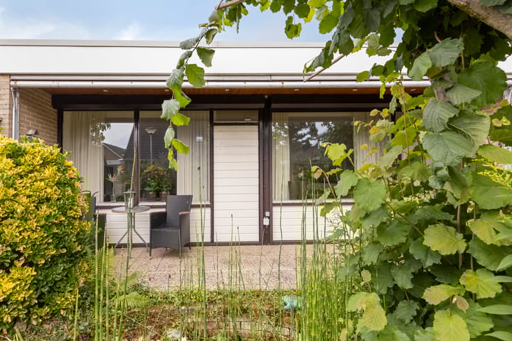 Foto 5 van de Els 11