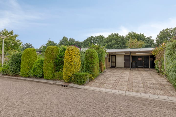 Foto 6 van de Els 11