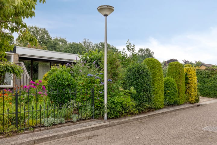 Foto 7 van de Els 11