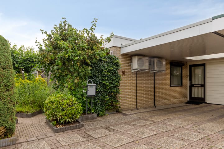 Foto 8 van de Els 11