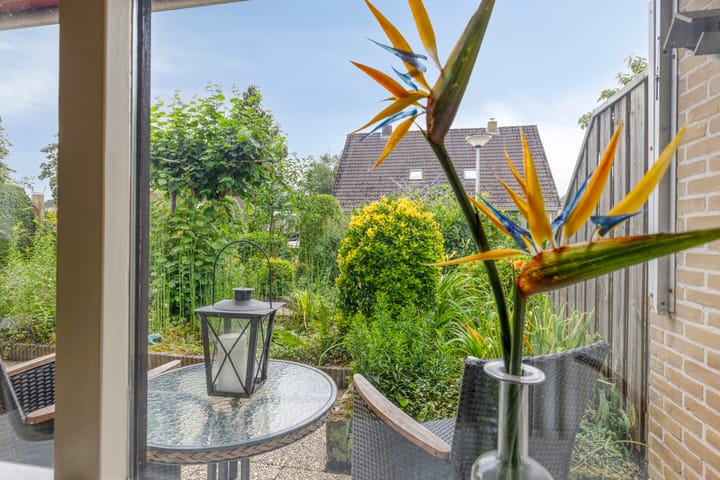 Foto 14 van de Els 11