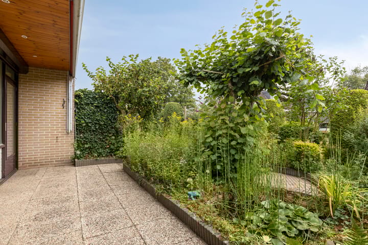 Foto 24 van de Els 11