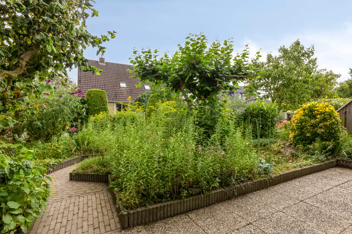 Foto 25 van de Els 11