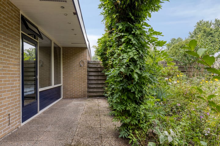 Foto 33 van de Els 11