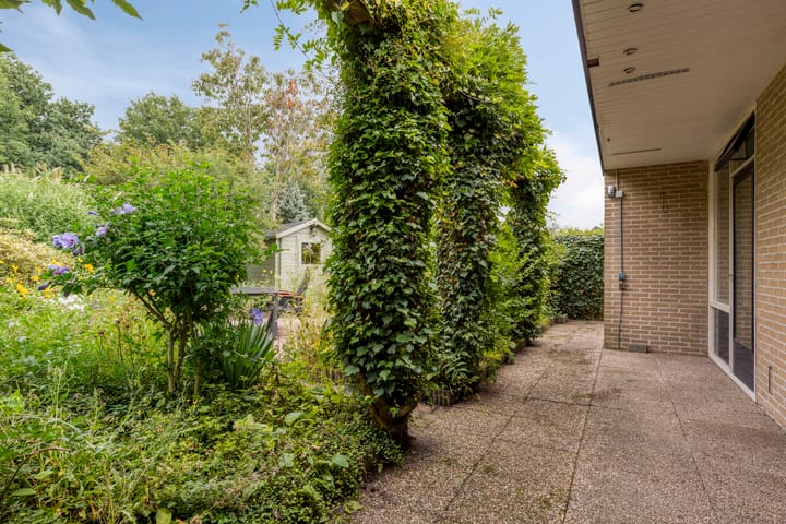 Foto 35 van de Els 11