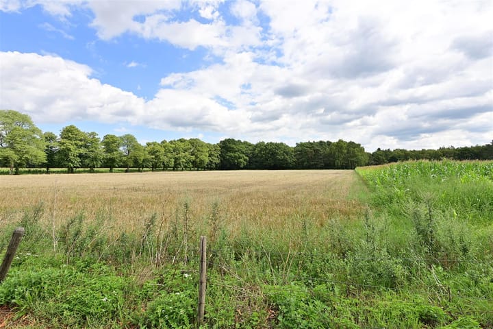 Foto 2 van Rading 70