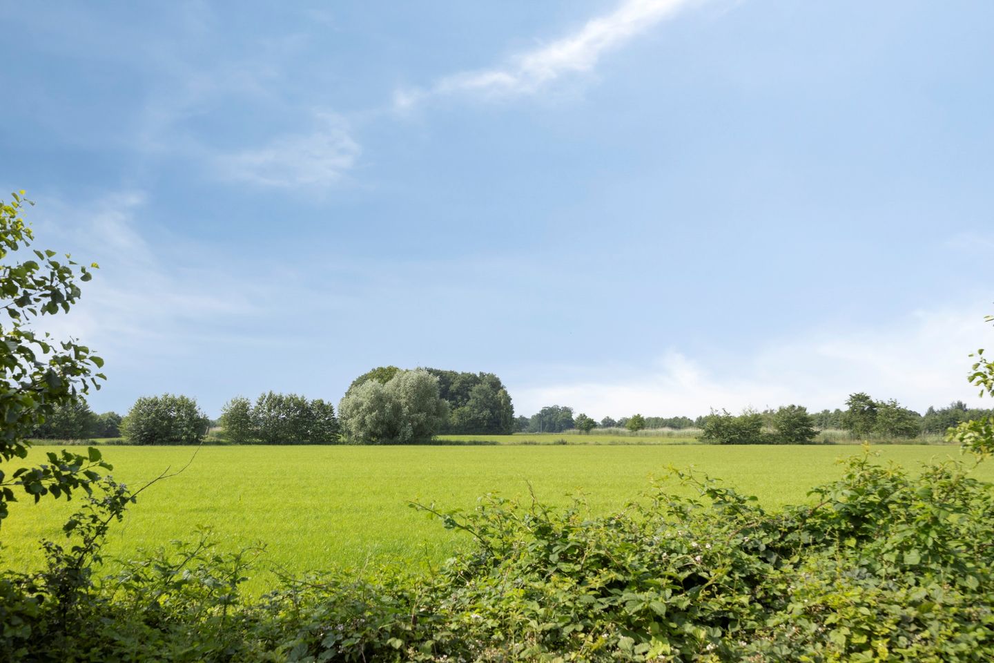 Foto 35 van Karel van Ginkelstraat 6