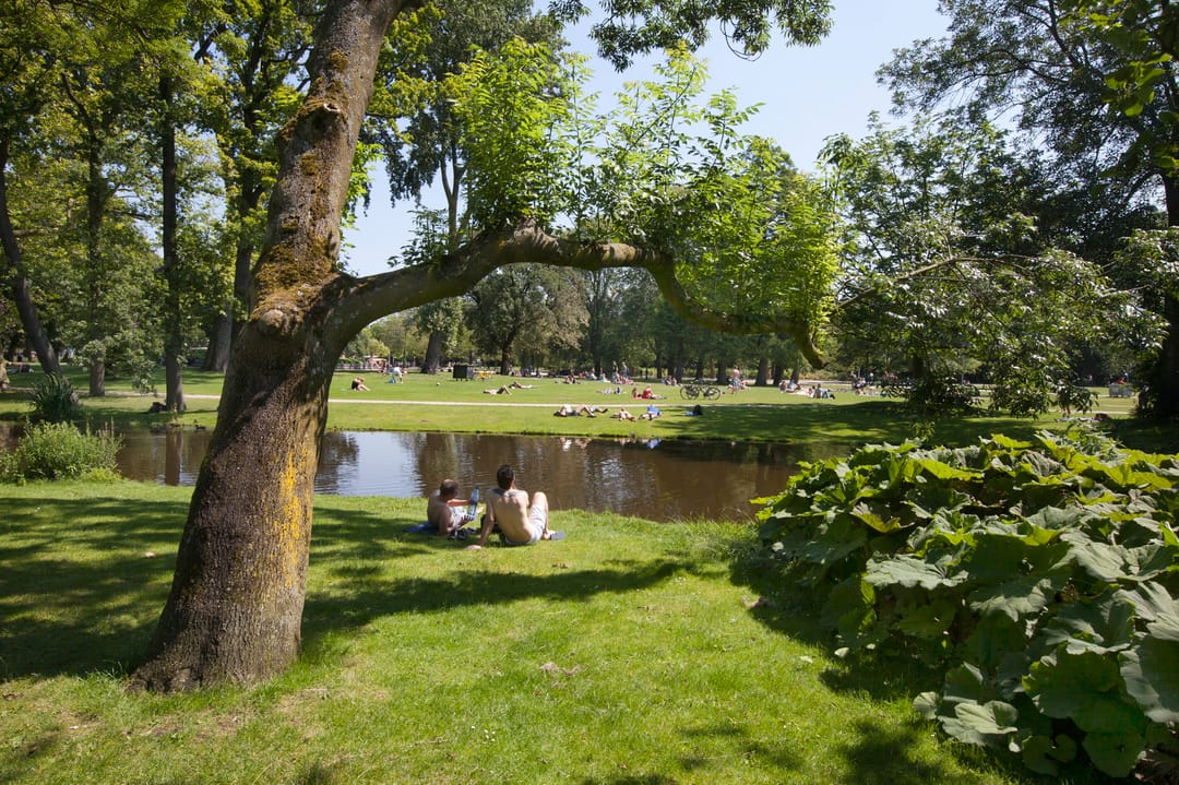 Foto 41 van Brederodestraat 38-H