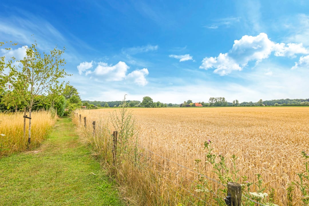 Photo 83 of Groeneweg 8