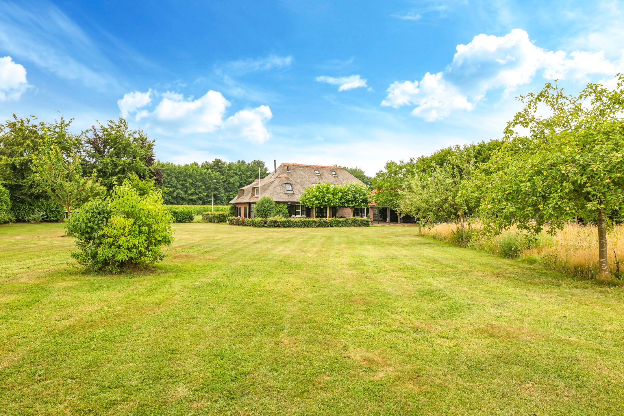 Photo 84 of Groeneweg 8