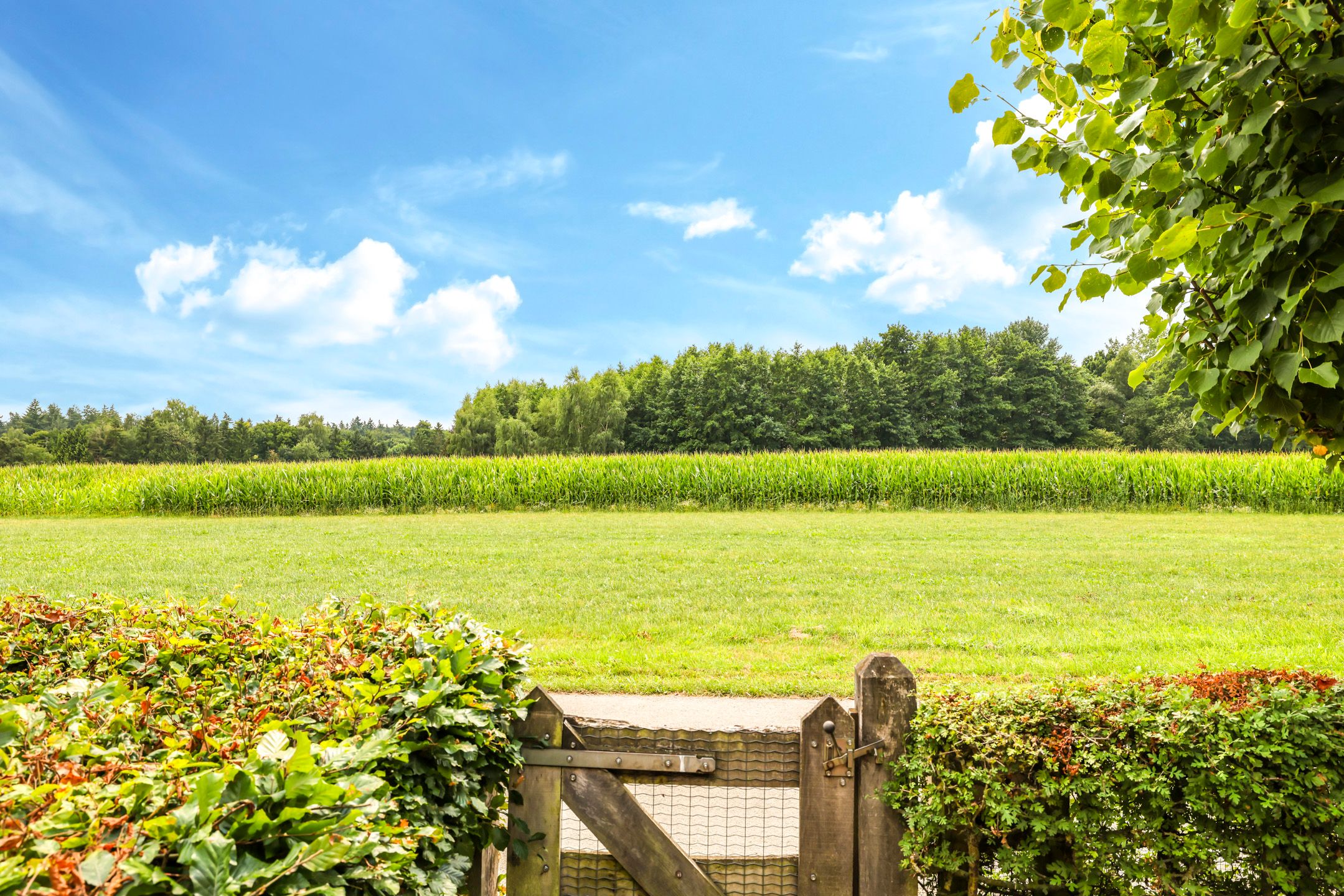 Photo 102 of Groeneweg 8