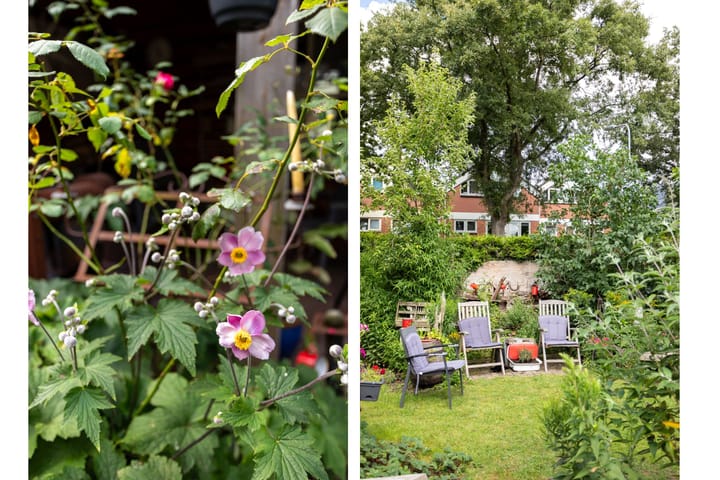 Foto 17 van Willem de Zwijgerlaan 46