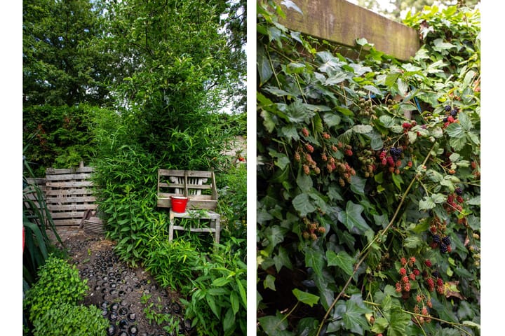 Foto 20 van Willem de Zwijgerlaan 46