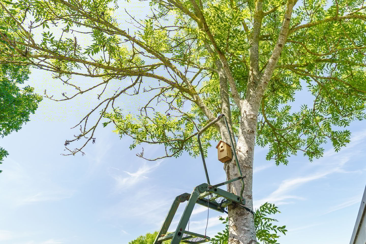 Foto 29 van Vleerdamsedijk 18