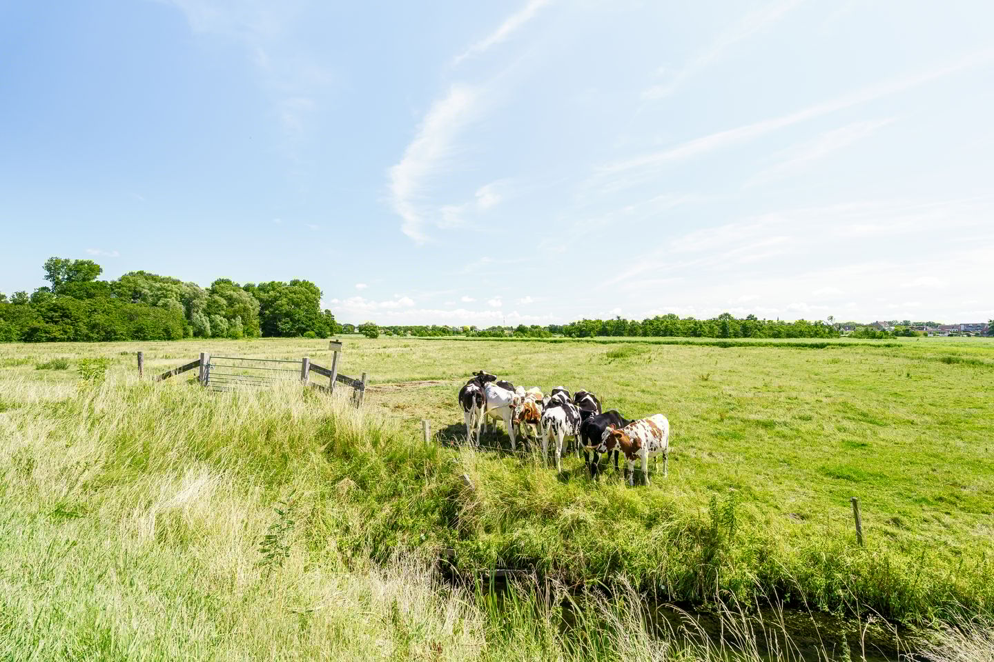 Foto 34 van Vleerdamsedijk 18