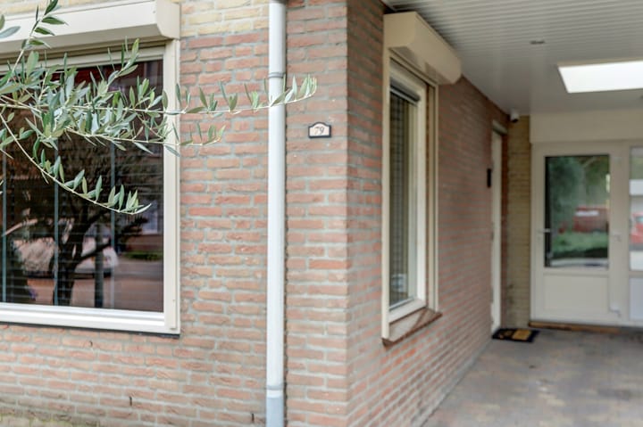 Foto 4 van Kroonkruid 79