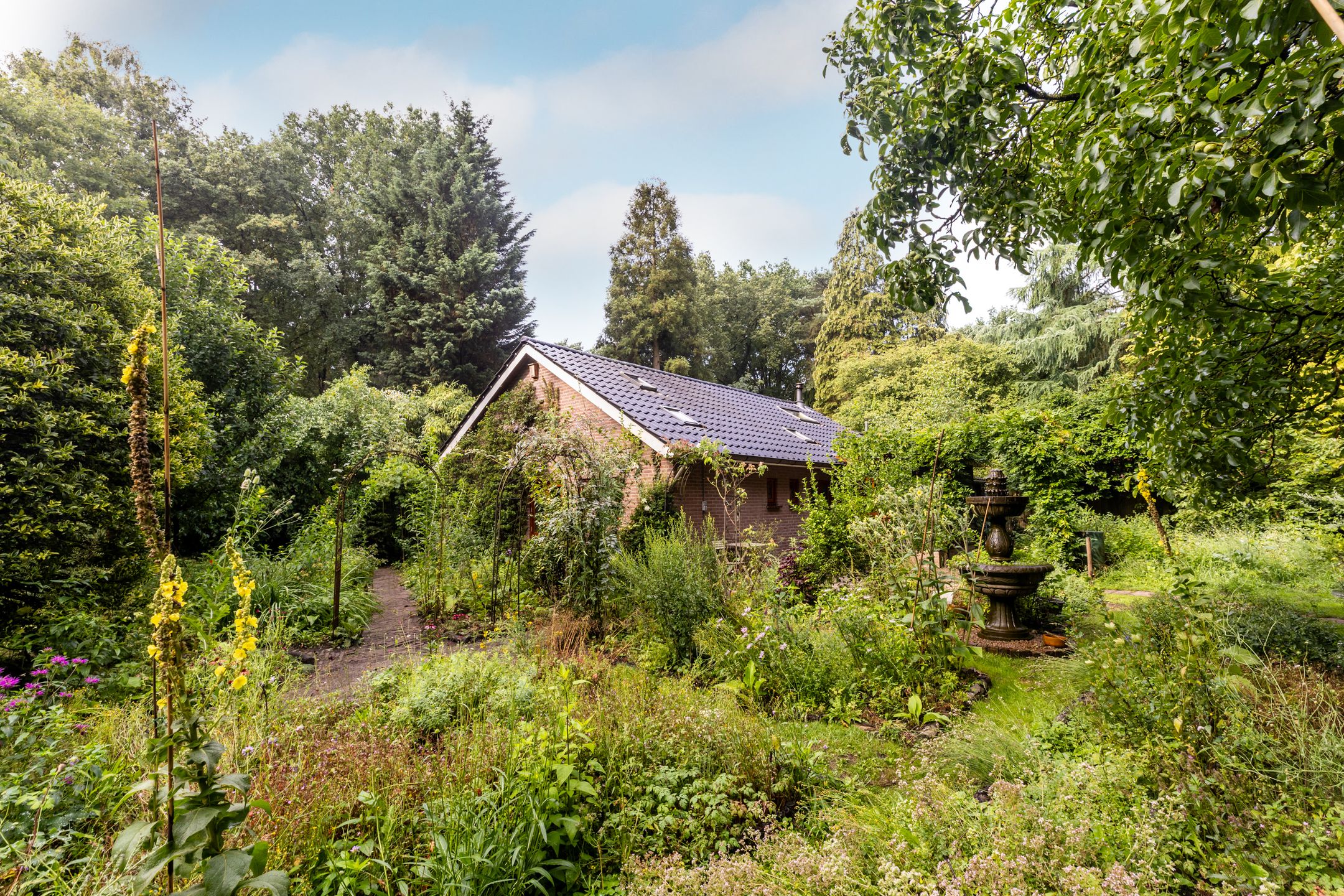 Foto 3 van Fazantbos 10